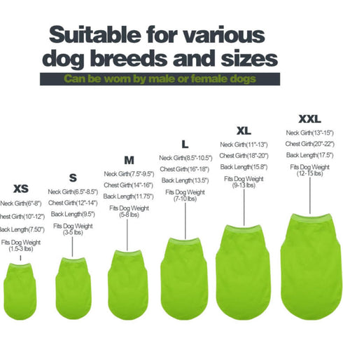 HOOPS Inc. Sporty Dog Tee