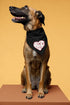 HOOPS Inc. Stylish Pet Bandana