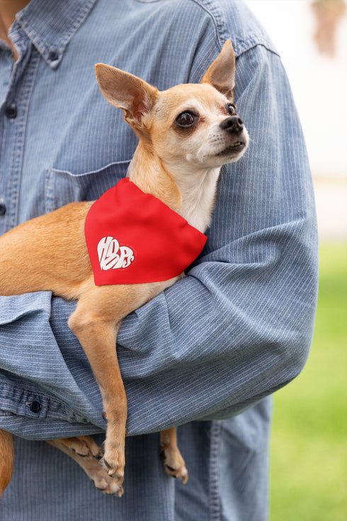 HOOPS Inc. Stylish Pet Bandana