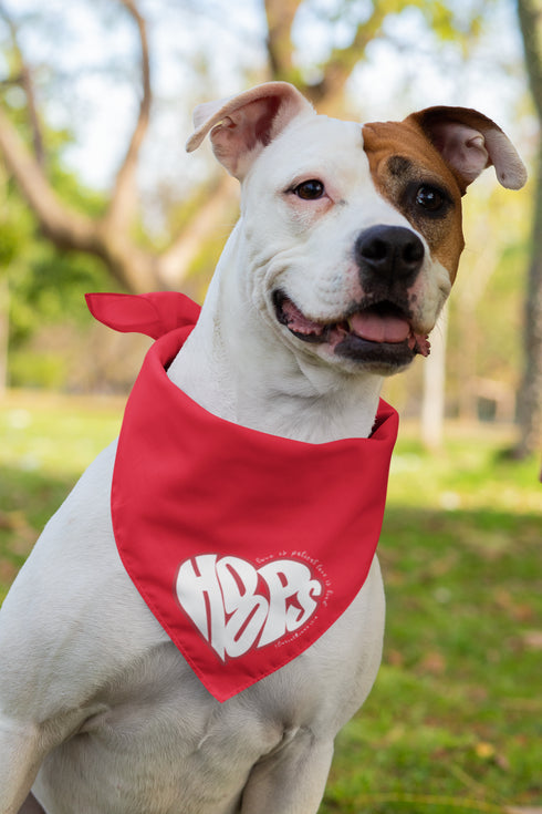 HOOPS Inc. Stylish Pet Bandana